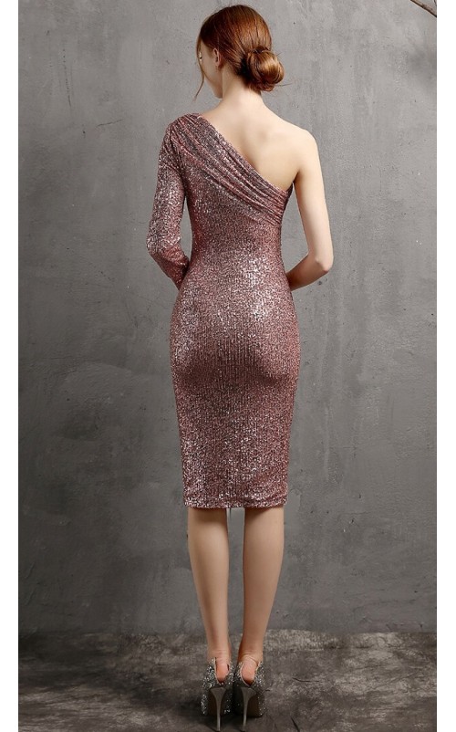 4.5✮- Bodycon Dress - FKLE18366