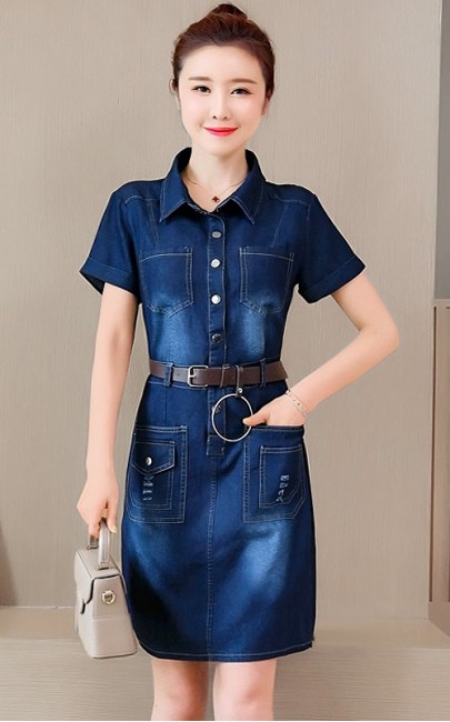 4✮- NWFPF17798 - Denim Dress