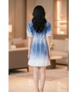 4✮- PAFRY3820 - Denim Dress