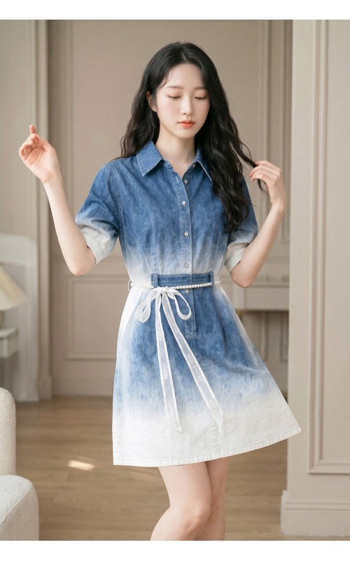 4✮- PAFRY3820 - Denim Dress