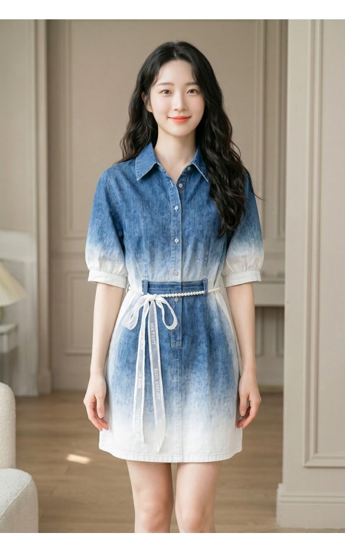4✮- PAFRY3820 - Denim Dress