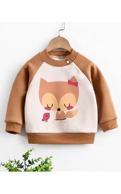 Baby / Toddler - Sweater - KJJA004A