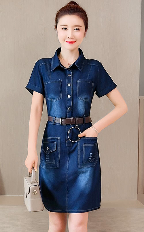 4✮- NWFPF17798 - Denim Dress